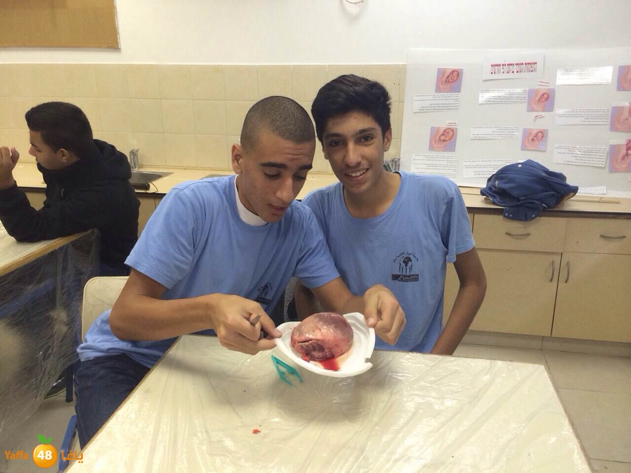 ajyal teb u (14).JPG